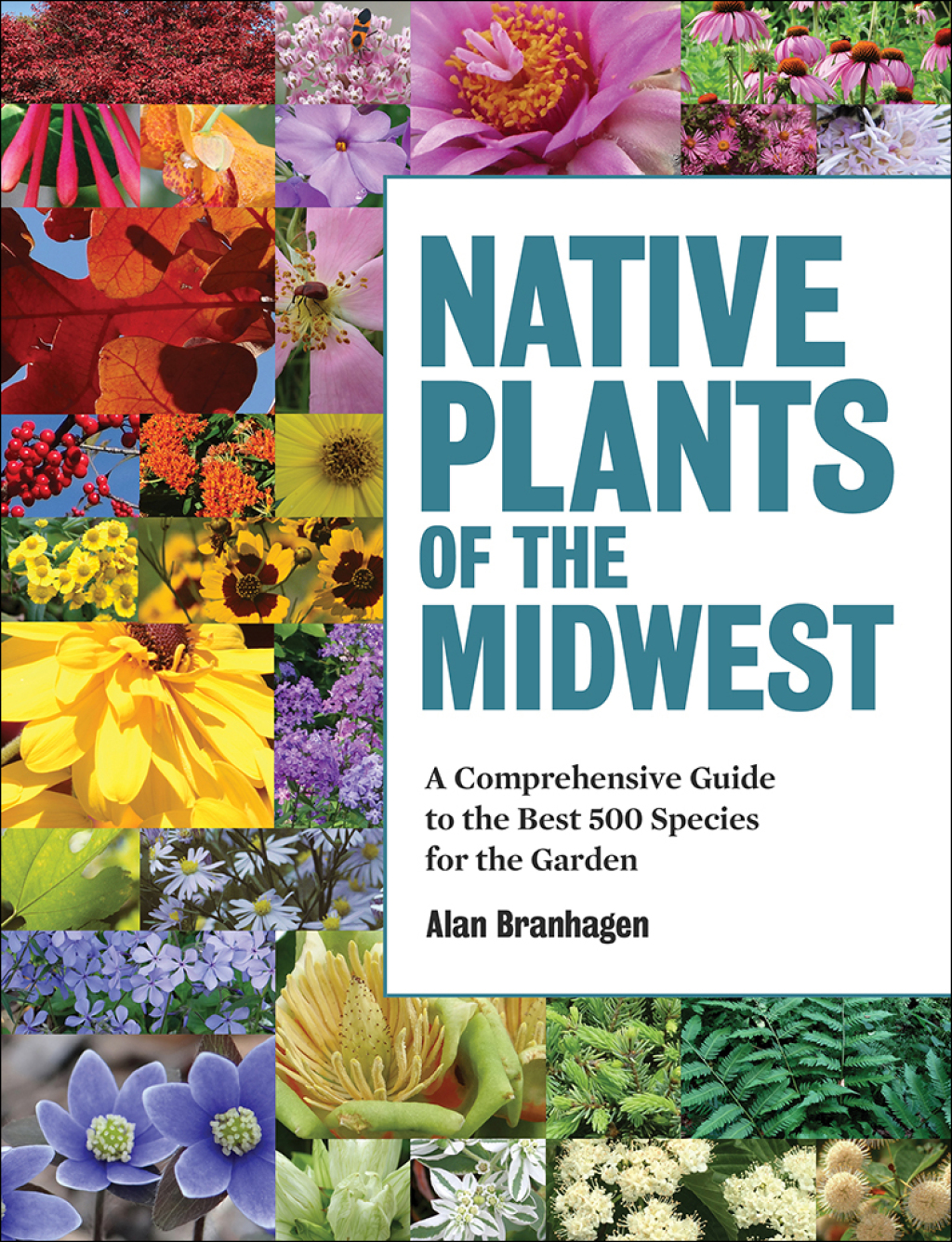 Native Plants of the Midwest (eBook) - Alan Branhagen