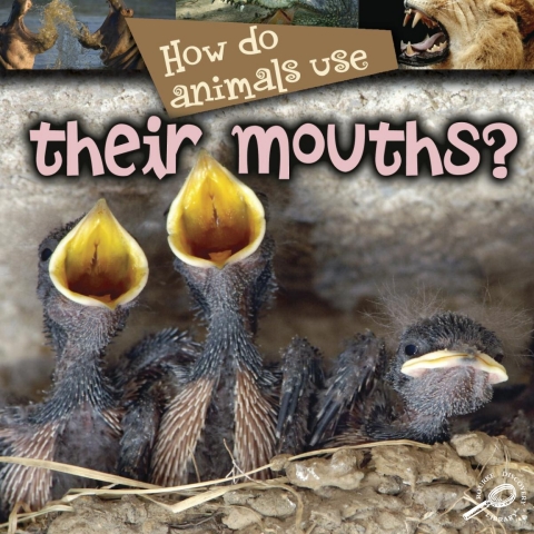 Cover image for book How Do Animals Use… Their Mouths?