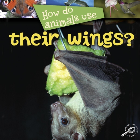 Cover image for book How Do Animals Use... Their Wings?