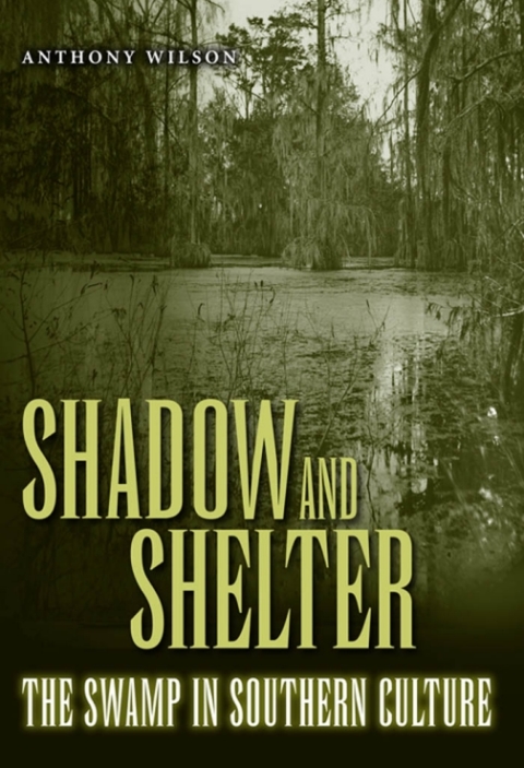 Cover image for book Shadow and Shelter