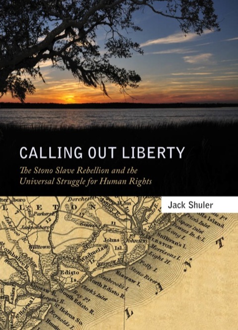 Cover image for book Calling Out Liberty