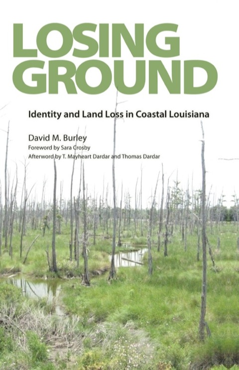 Cover image for book Losing Ground