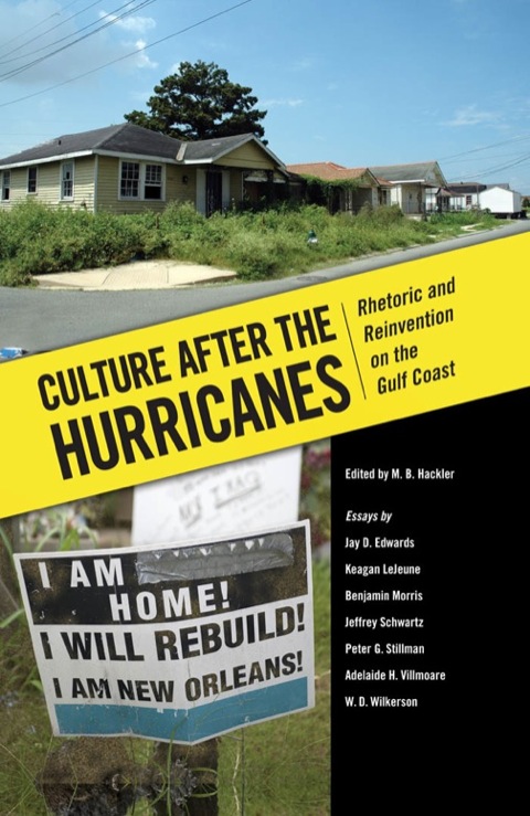 Cover image for book Culture after the Hurricanes