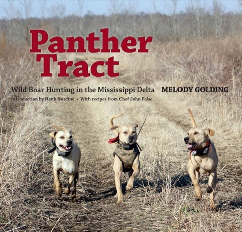 Cover image for book Panther Tract