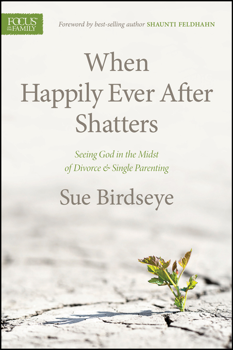 Cover image for book When Happily Ever After Shatters
