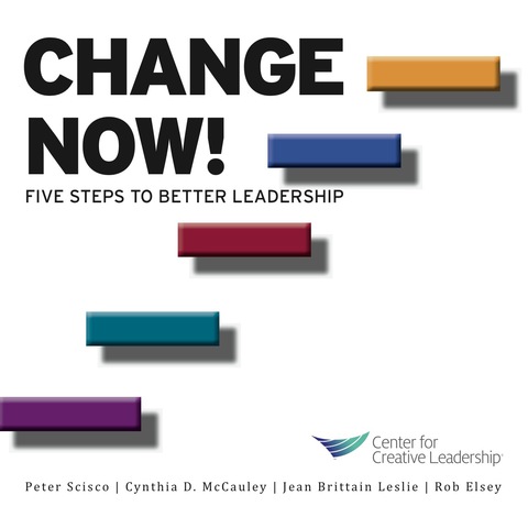 Cover image for book Change Now! Five Steps to Better Leadership