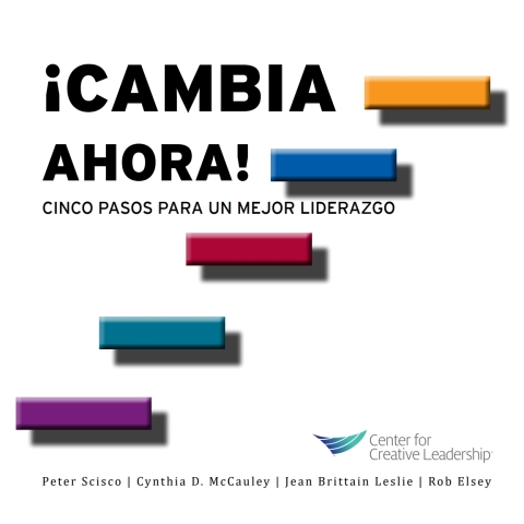 Cover image for book Change Now! Five Steps to Better Leadership (Spanish for Spain)