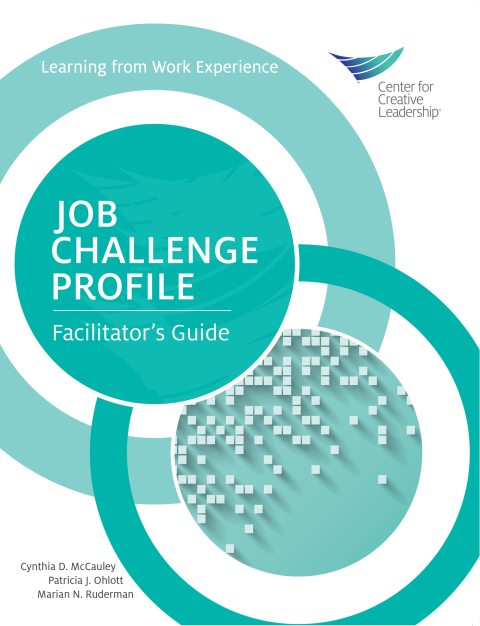 Cover image for book Job Challenge Profile, Facilitator Guide