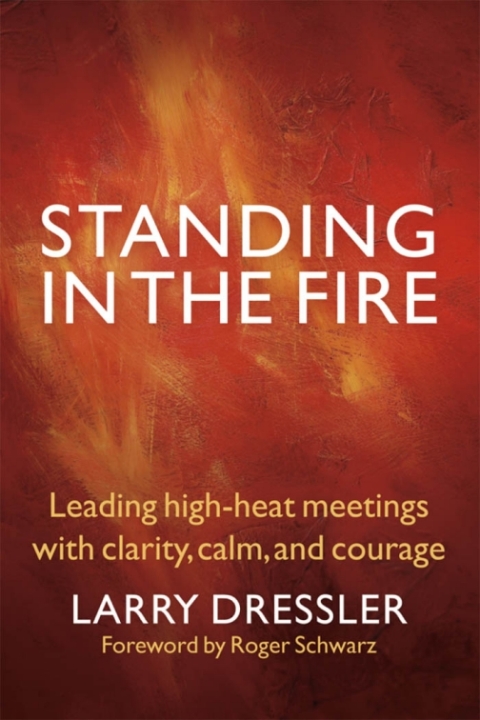 Cover image for book Standing in the Fire