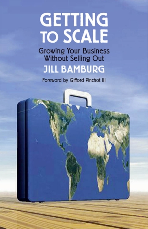 Cover image for book Getting to Scale