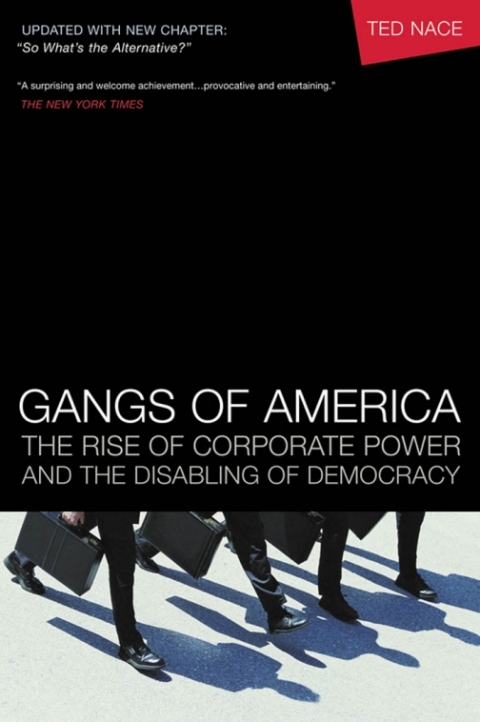 Cover image for book Gangs of America