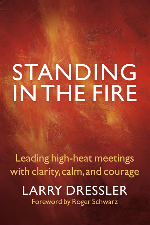 Cover image for book Standing in the Fire