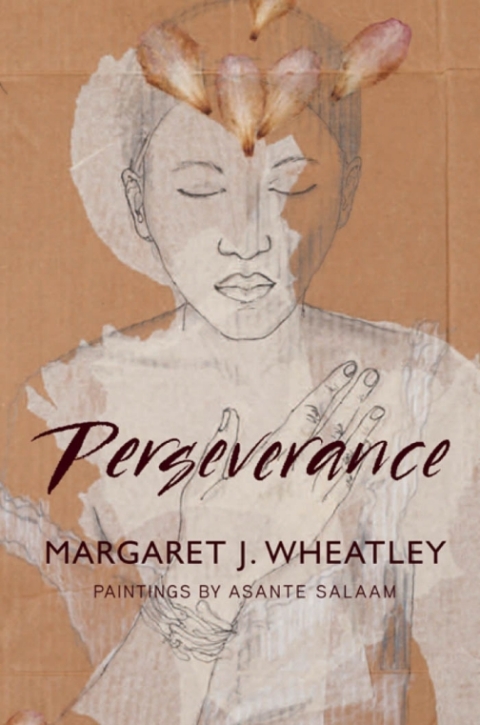 Cover image for book Perseverance