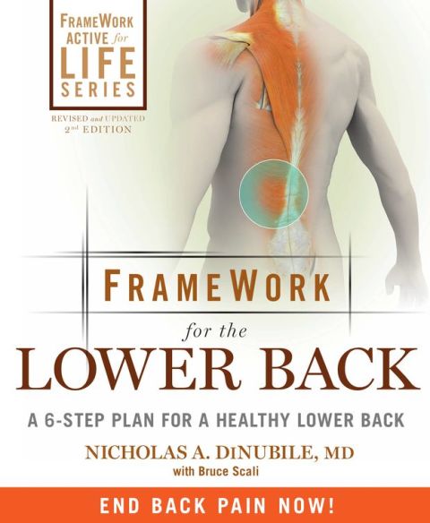 Cover image for book FrameWork for the Lower Back