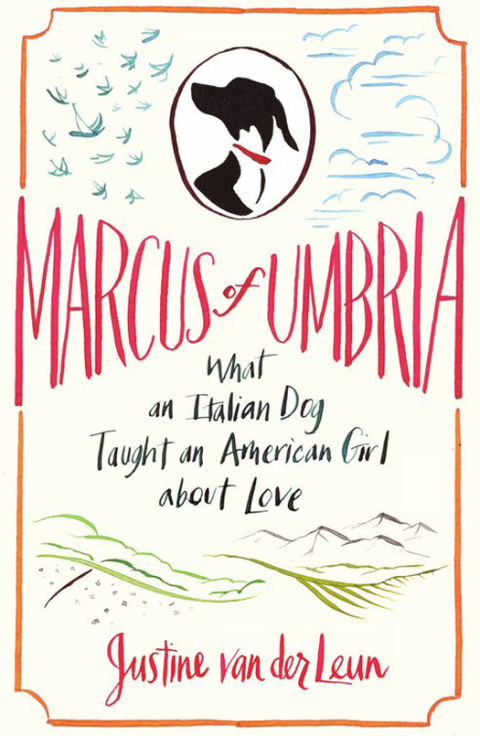 Cover image for book Marcus of Umbria