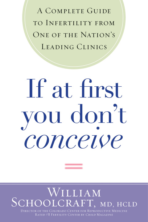 Cover image for book If at First You Don't Conceive