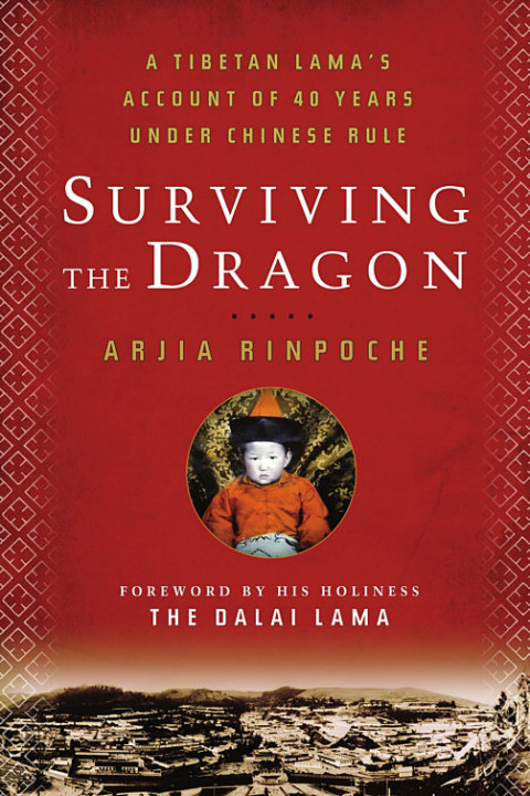 Cover image for book Surviving the Dragon
