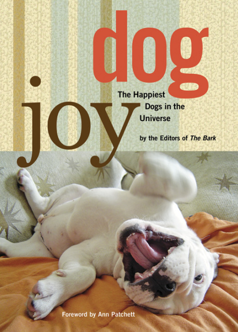 Cover image for book DogJoy