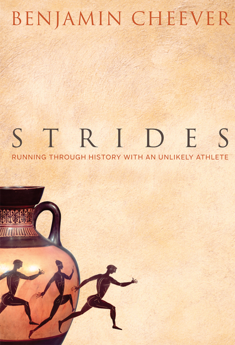 Cover image for book Strides