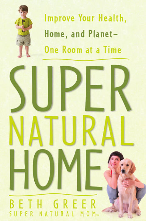 Cover image for book Super Natural Home