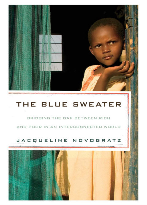 Cover image for book The Blue Sweater