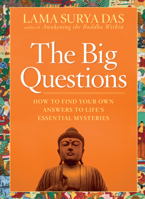 Cover image for book The Big Questions