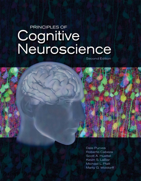 Cover image for book Principles of Cognitive Neuroscience