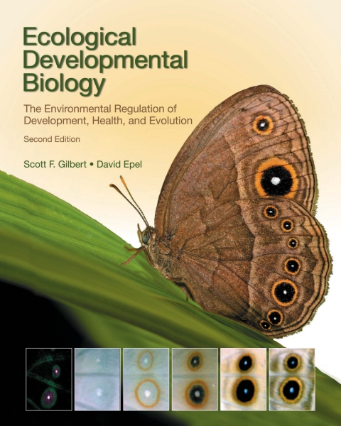 Cover image for book Ecological Developmental Biology