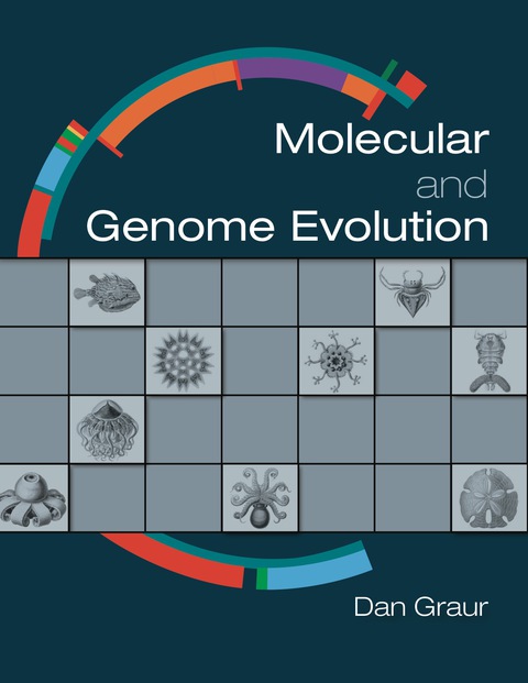 Cover image for book Molecular and Genome Evolution