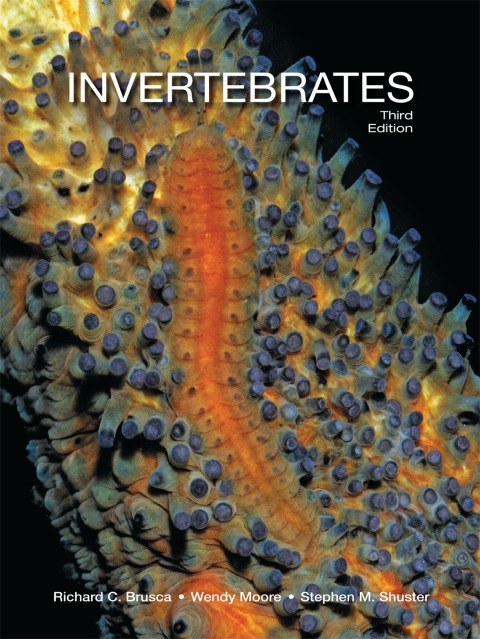 Cover image for book Invertebrates