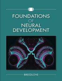 Cover image: Foundations of Neural Development 1st edition 9781605355795