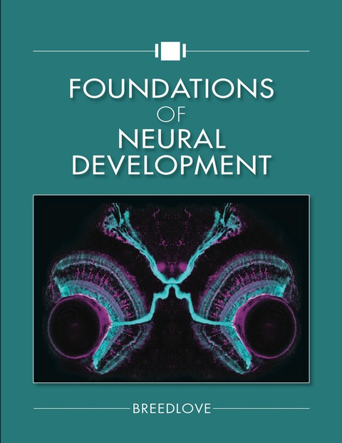 Cover image for book Foundations of Neural Development