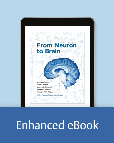 Cover image for book From Neuron to Brain