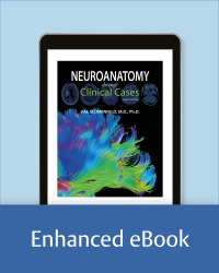 Neuroanatomy through Clinical Cases 3rd Edition