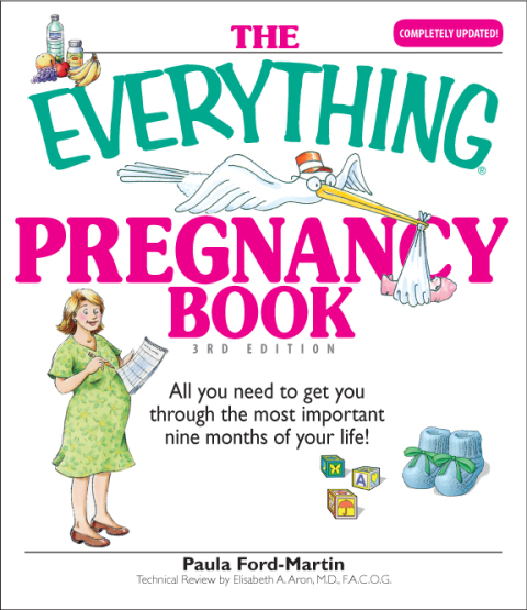 Cover image for book The Everything Pregnancy Book