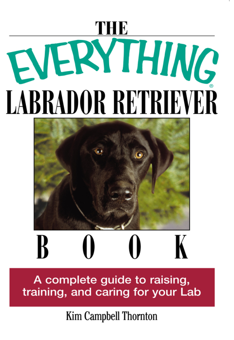 Cover image for book The Everything Labrador Retriever Book
