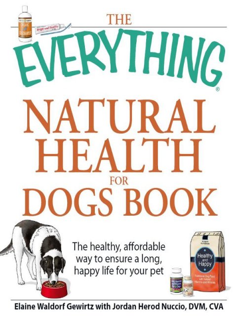 Cover image for book The Everything Natural Health for Dogs Book