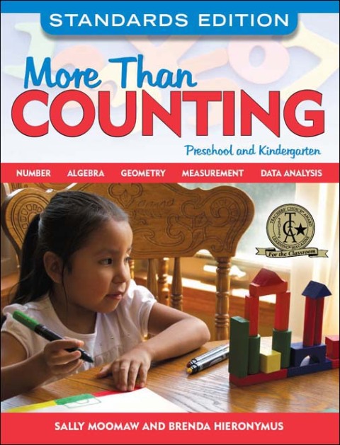 Cover image for book More Than Counting