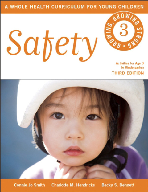 Cover image for book Safety