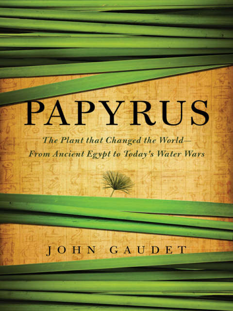 Cover image for book Papyrus