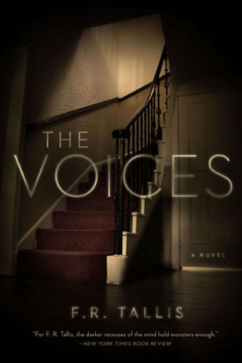 Cover image for book The Voices