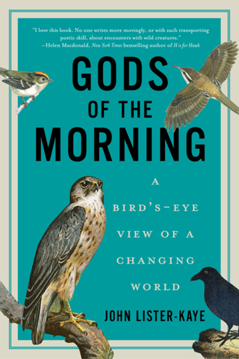 Cover image for book Gods of the Morning