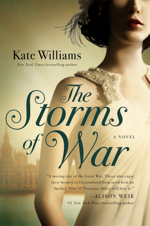 Cover image for book The Storms of War