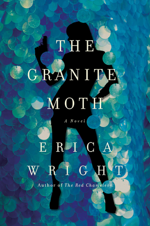 Cover image for book The Granite Moth