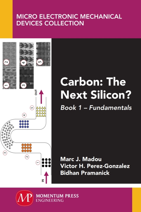 Cover image for book Carbon: The Next Silicon?