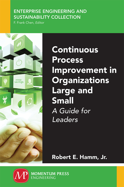 Cover image for book Continuous Process Improvement in Organizations Large and Small