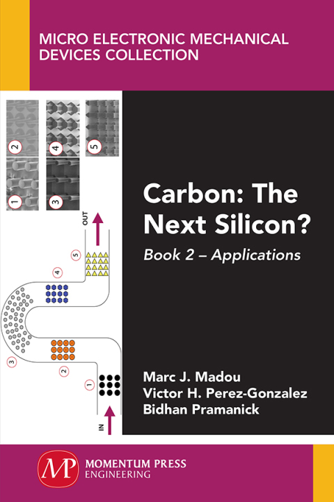 Cover image for book Carbon: The Next Silicon?
