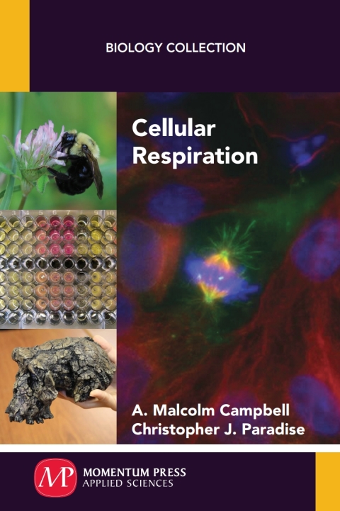 Cover image for book Cellular Respiration