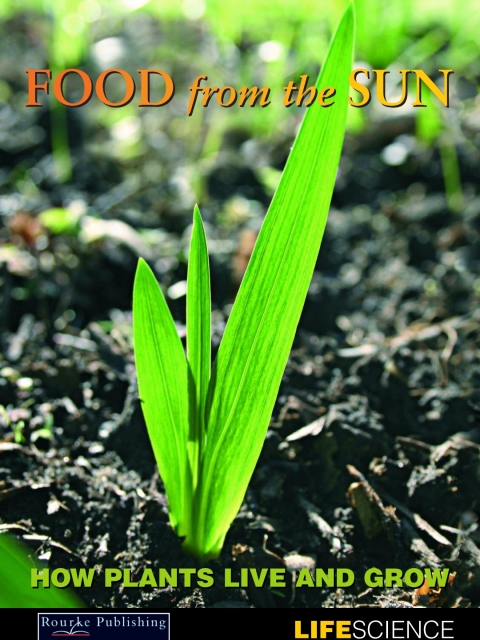 Cover image for book Food From The Sun