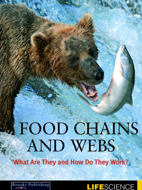Cover image for book Food Chains and Webs